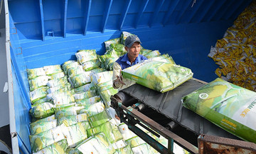 Giá gạo xuất 789bet hoangsa.net tiếp tục trầm lắng do nhu cầu thế giới giảm