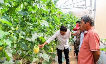 “Mở lối” thoát nghèo cho người nông dân