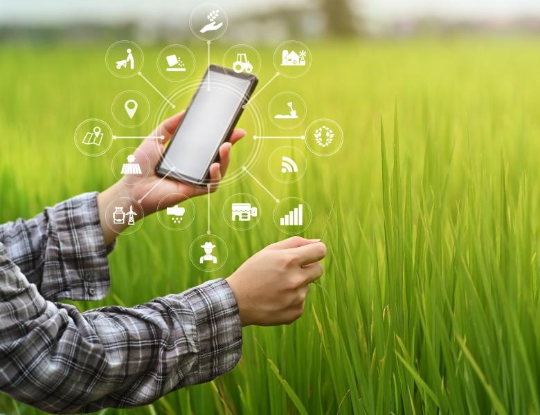 Sản xuất lúa hiện đại giúp nâng cao thu nhập cho người dân