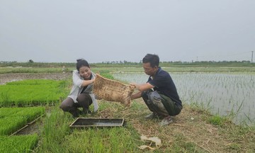 789bet tặng 100k tại Hải Phòng chủ động trước mưa bão