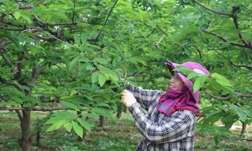 Na La Hiên thắp sáng hy vọng giảm nghèo