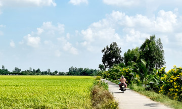 Nòng cốt trong xây dựng nông thôn mới và tái cơ cấu nông nghiệp ở Đồng Tháp