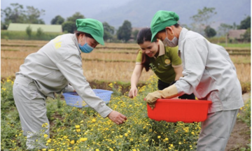 Nâng tầm nông sản địa phương, khuyến mãi 789bet ở Lào Cai quyết theo đuổi &#039;mục tiêu kép&#039;