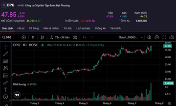Cổ 789bet wiki Tập đoàn Đạt Phương lập đỉnh mới dù dòng tiền kinh doanh vẫn âm nặng