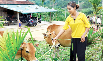Khởi sắc nông thôn mới nơi vùng cao Quảng Ngãi