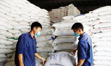 Việt Nam duy trì đối tác xuất khẩu gạo lớn thứ 3 tại Singapore