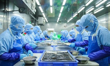 Xuất khẩu thủy sản hướng đến đích 10 tỷ USD trong năm 2025