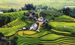 Bỏ lại cái nghèo, nông dân Điện Biên đi lên từ hợp tác xã