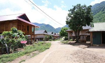 &#039;Mầm xanh&#039; HTX trong nông thôn mới ở Thanh Hóa