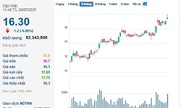 Cổ 789bet có uy tín không NVL ‘xanh lơ’ khi Novaland báo lỗ hàng trăm tỷ đồng, gặp áp lực với các khoản nợ