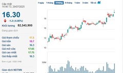 Cổ nhà cái 789bet NVL ‘xanh lơ’ khi Novaland báo lỗ hàng trăm tỷ đồng, gặp áp lực với các khoản nợ