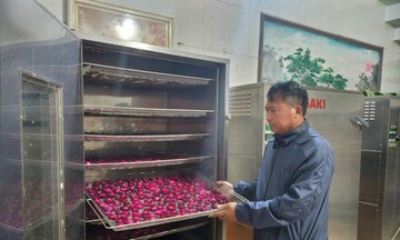 Ứng dụng công nghệ cao giúp HTX ở Hưng Yên nâng cao giá trị nông sản