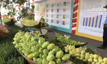 HTX giúp nông dân chuyển đổi từ sản xuất truyền thống sang hiện đại