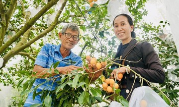 Mở lối thoát nghèo cho người dân Vĩnh Long