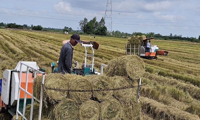 H&agnhà cái 789betve;nh tr&ignhà cái 789betve;nh &#039;đổi đời&#039; từ mô h&ignhà cái 789betve;nh trồng trọt giảm phát thải