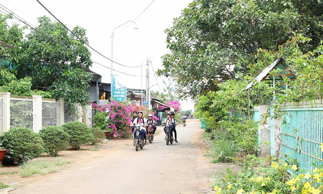 Phát triển sản xuất theo chuỗi, xây dựng nông thôn nhà cái 789bet ở Đồng Nai
