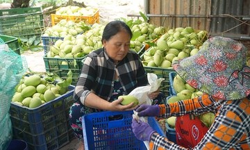 Ứng dụng công nghệ góp phần link 789bet nghèo cho nông dân