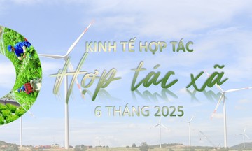 Gần 6,2 triệu thành viên và những con số ấn tượng của kinh tế hợp tác, HTX 6 tháng đầu năm 2025