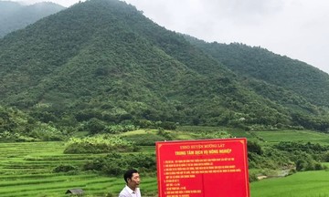 Liên kết sản xuất, link 789bet cùng nông dân nâng tầm nông sản xứ Thanh