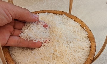 Vượt Thái Lan, Việt Nam trở thành nước xuất khẩu gạo lớn thứ hai thế giới