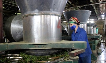 Lai Châu đẩy mạnh phát triển HTX để giảm nghèo hiệu quả
