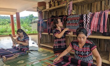 Khơi dậy khát vọng làm giàu của phụ nữ vùng cao Điện Biên