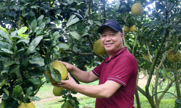 Phát triển nông nghiệp hữu cơ tạo giá trị mới trong sản xuất