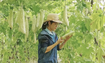 &#039;Thủ lĩnh&#039; giảm nghèo tại xã Hoa Thám
