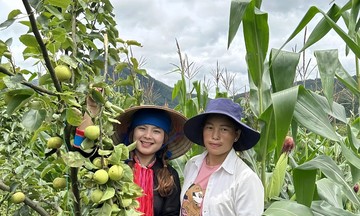 &#039;Sống khỏe&#039; nhờ kết hợp nông nghiệp sạch - du lịch xanh