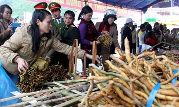 Tạo dựng mô hình kinh tế hiệu quả giúp người dân Tây Giang &#039;đổi đời&#039;