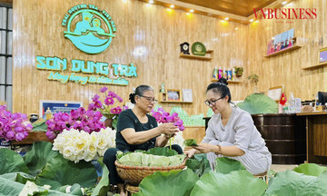 Thúc đẩy xu hướng trẻ hóa trong kinh tế hợp tác