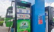 Hải Phòng thí điểm bán xăng E10: Nhiều tín hiệu tích cực từ 789bet hoangsa.net tiêu dùng