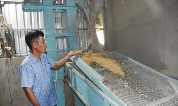 Vĩnh Long: Nông dân, HTX liên kết cùng làm giàu