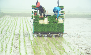 Động lực mới trong xây dựng nông thôn mới ở Nghệ An