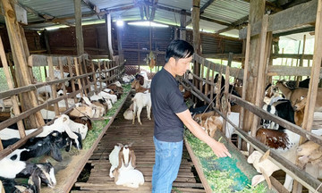 Bừng sáng sức sống nông thôn mới từ vùng đất cao nguyên Gia Lai