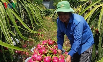 Nông dân muốn tham gia vào HTX để ổn định cuộc sống