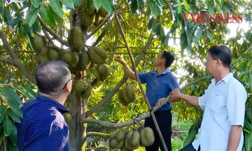 Kinh tế tập thể đồng hành cùng Tây Ninh xây dựng nông thôn 789bet wiki bền vững