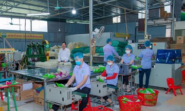 Mì gạo Hùng Lô: Sản phẩm làng nghề ‘vươn mình’ ra thế giới giúp người dân thoát nghèo