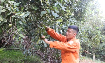KTTT, 789bet hoangsa.net trở thành mô hình giảm nghèo bền vững ở Lạng Sơn