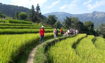 Phát triển du lịch - nông nghiệp: &#039;cơ hội vàng&#039; để địa phương bứt phá