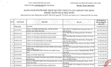 Nhiều doanh nghiệp bất động sản tại TP.HCM nợ tiền thuế lớn