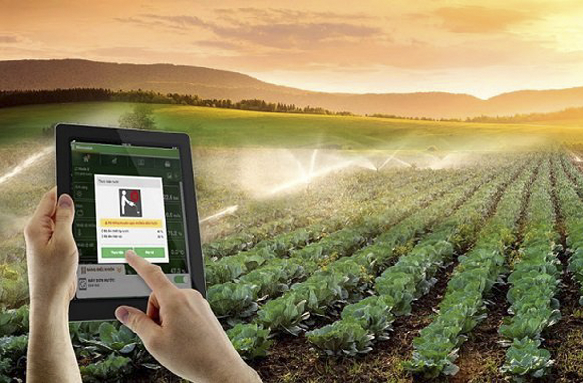 HTX nông nghiệp chuyển đổi số, nâng cao thu nhập 789bet thành viên