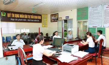 Thông tư 29 và những trăn trở của Quỹ tín dụng nhân dân
