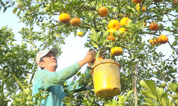 Khởi sắc nông thôn mới từ miền đất ven sông Hậu