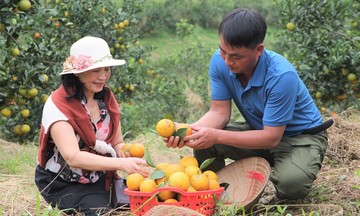 Sản phẩm hữu cơ mang đến cơ hội đổi đời cho nông dân