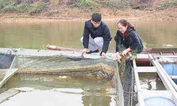 Nông thôn mới giàu bản sắc ở Lào Cai