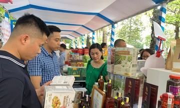 Tích cực mở rộng kênh tiêu thụ, HTX ở Nghệ An góp phần nâng tầm thương hiệu nông sản địa phương