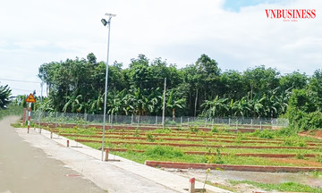 &#039;Chôn vốn bạc tỷ&#039; vì găm đất nông nghiệp, hết tiền làm sổ đỏ