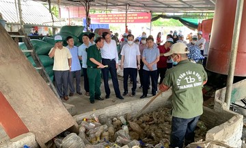 HTX tiên phong trong hành trình xanh, xây dựng nông thôn mới ở Tuyên Quang