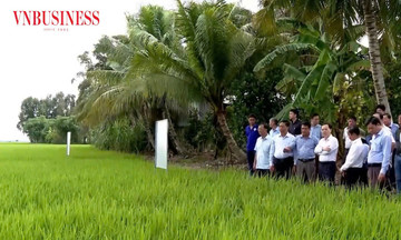 Nông thôn ở &#039;thủ phủ miền Tây&#039; khoác áo mới trong thời đại UAV và QR
